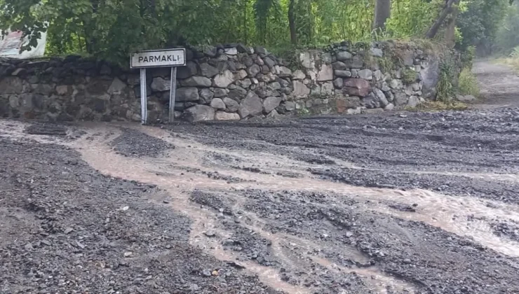 Artvin’de sağanak nedeniyle taşkın ve heyelanlar meydana geldi