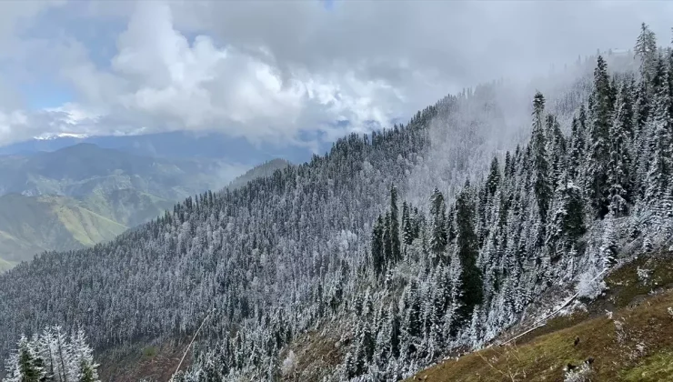 Artvin’de Kar Yağışı Yine Etkili Oldu