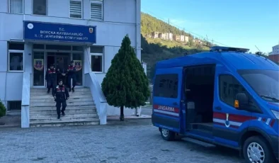 Borçka’da İzinsiz Orman Kesimi: Kooperatif Başkanı Gözaltına Alındı